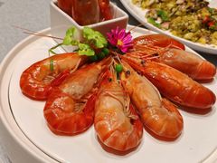 -上海银厨(武宁路店)