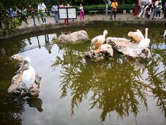 -昆明动物园