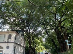 -九龙公园