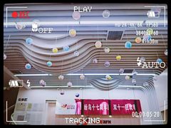 -缤纷鸟美术书法(交大校区)