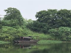 -桃花岛景观公园