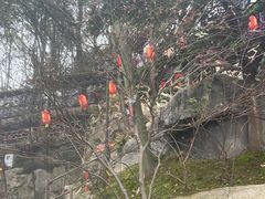 -巴倒烫陆派重庆火锅(南山店)