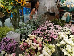 -双季花艺园艺市场(浦东店)