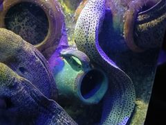 -太平洋海底世界