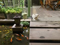 -绿房子方寸咖啡(星海名城店)