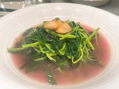 高山青苋菜-春盛渔府(南京南站店)