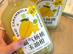 -铁像寺水街