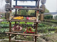 -溱湖国家湿地公园