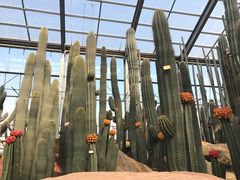 -南通洲际绿博园