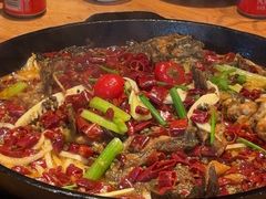 -老板恋上鱼(恒隆广场店)