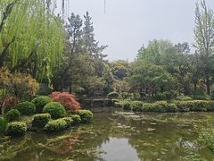 -秋霞圃