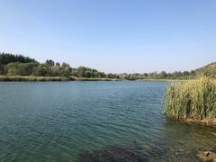 景点-淇河国家湿地公园