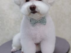 -乐琪宠物(青塔西路店)