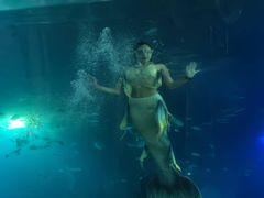 -海棠湾洲际-涛·海底餐厅·美人鱼·自助餐·海底隧道