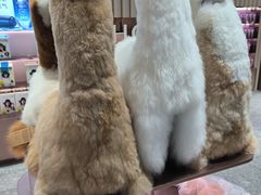 -国药中服免税(北京坊店)