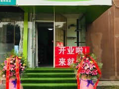 圣宠宠物的封面图片