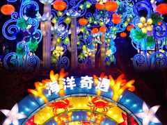 -欢乐海岸椰林沙滩-2025湾区超级灯会