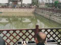 -尚庄度假村·庭台树下·户外烧烤·团建CS·轰趴营地(上庄水库店)