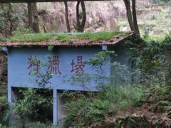 -南山植物园