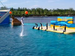 -秦皇岛乐岛海洋王国