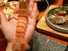 -月龍吟(朝龙汇店)