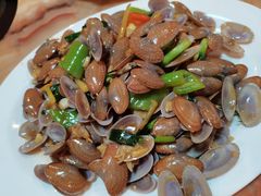 姜葱芒果螺-岛中岛·海鲜大排档·万宁老字号(东澳店)