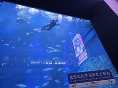 -成都浩海立方海洋公园