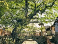 -云水谣景区