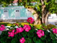 -龙环葡韵住宅式博物馆