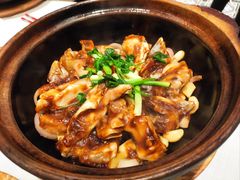 -新雅粤菜馆(南京东路店)