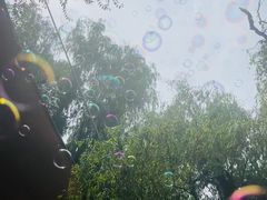 -酷鱼垂钓CLUB(朝阳区博大路店 )