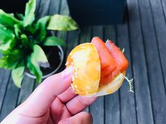 -雅味轩中餐厅 川菜 粤菜(重庆喜来登大酒店)