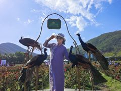 -亚龙湾国际玫瑰谷