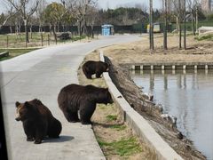 -上海野生动物园