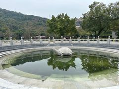 -顺峰山公园