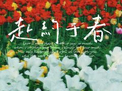 -国家植物园