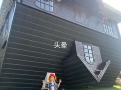 -金山农民画村-枫泾波兰倒置屋