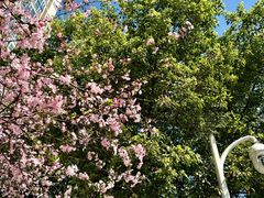 -建设三路(地铁站)