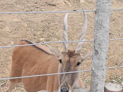 -石家庄市动物园