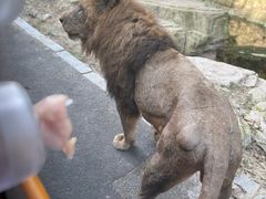 -大连森林动物园