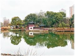 -和平公园