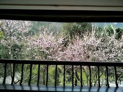 -南江大峡谷