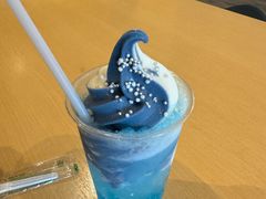 -大阪海游馆