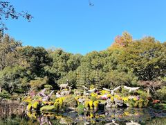 -杭州植物园