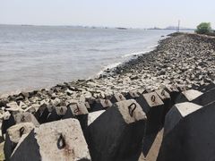 -上海滨江森林公园