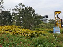 -三圣花乡旅游区