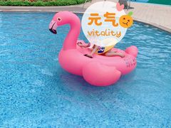 -深圳大梅沙京基洲际度假酒店