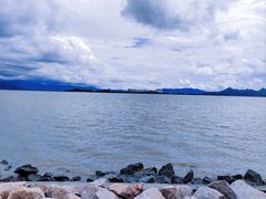 -深圳湾公园(南山区)