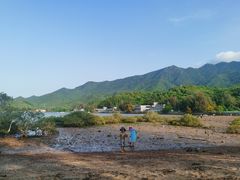 -坝光海滩