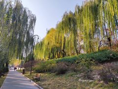 -元大都城垣遗址公园